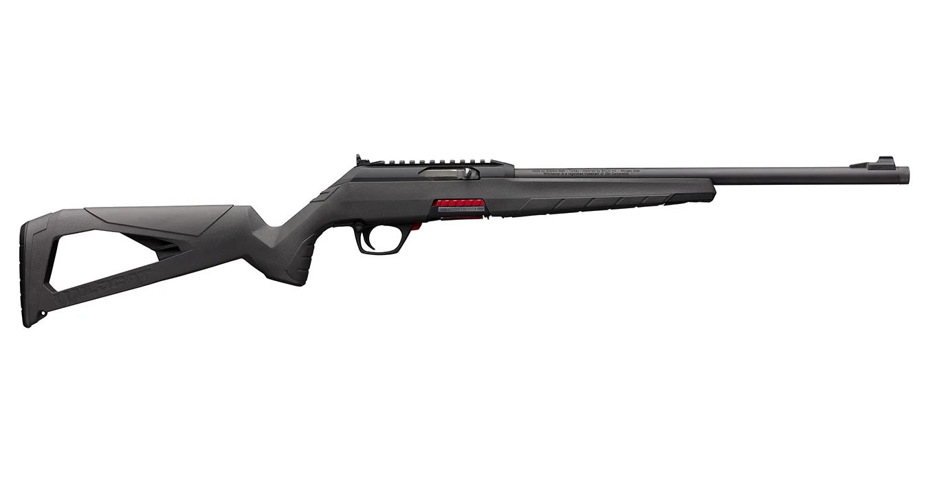 Winchester Wildcat 22 LR Suppressor Ready Semi-Auto Rifle 1 A45 result 4